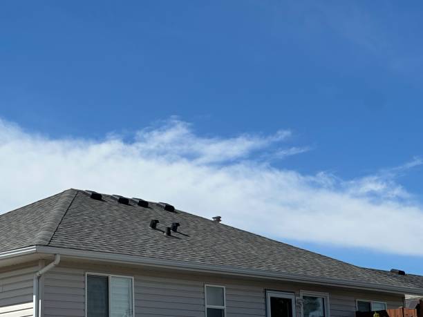 Best Roof Insulation Installation  in Pender, NE