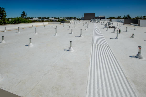 Best Hot Roofs  in Pender, NE